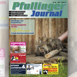 Aktuelle Ausgabe Juni 2019