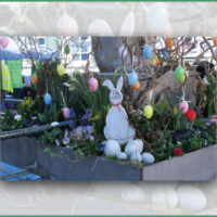 Frühlingserwachen in Pfullingen – Stadtfest mit verkaufsoffenem Sonntag