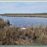 NABU: Spannende Sommerferien im Einklang mit der Natur